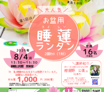 つまみ細工　はすランタン (両面)のサムネイル